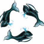 3 кита