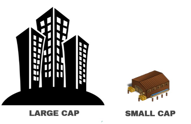 small cap and large cap